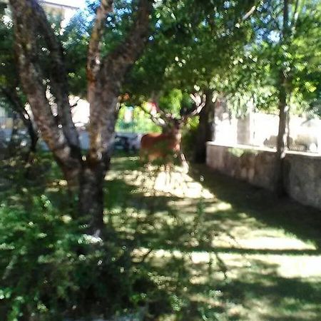 Appartamenti De Sanctis Villetta Barrea Exterior foto